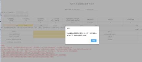 新电子税局为企业带来的便利与挑战
