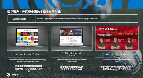 一、 店铺装修：打造专业且具有吸引力的店面