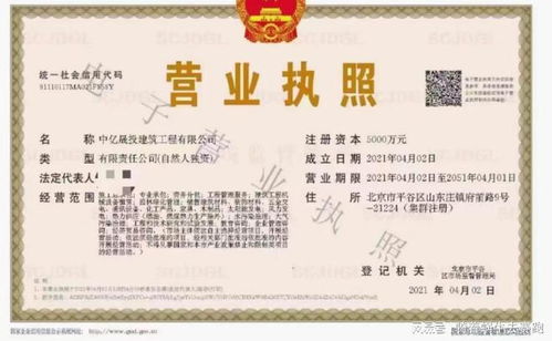 确定公司名称及审查批准