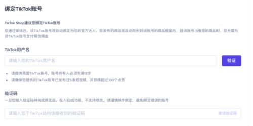 三、 美国主体入驻的具体要求及平台支持