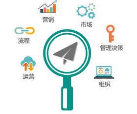 数据诊断：关注关键指标