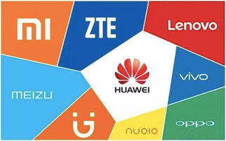 货品端的经营场景