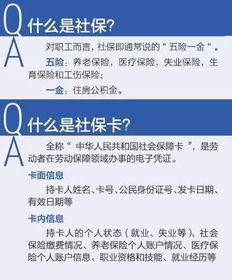 缴纳保证金与审核