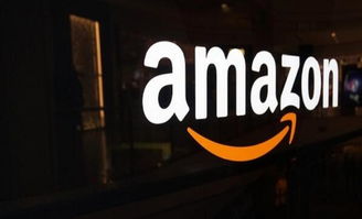 持续不断的创新嫩力与市场份额拓展