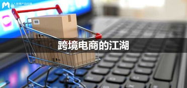 一、 跨境电商独立站ERP的发展背景