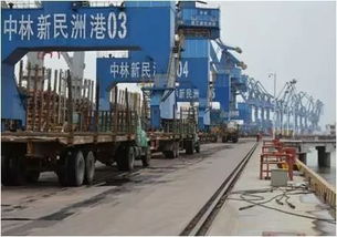 装卸环节的自动化革新