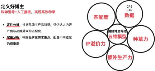 营销组合策略的核心内容解析