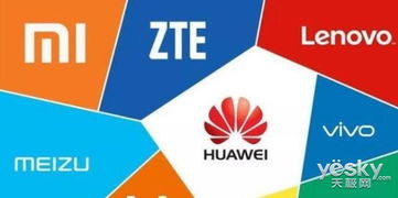 小型商家的市场机遇