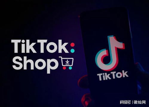 在短视频浪潮的席卷下TikTok以成为全球商家竞相追逐的新蓝海。