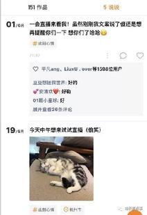 三、互动交流：建立良好的观众关系
