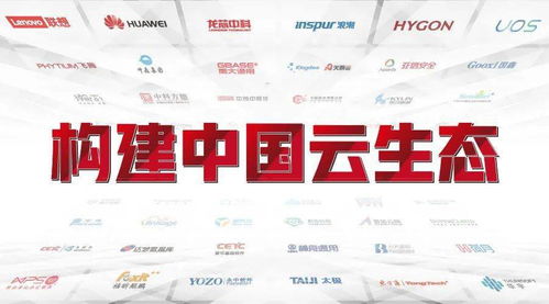 三、中国境内发货成主流