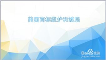 一、 美国商标注册概述