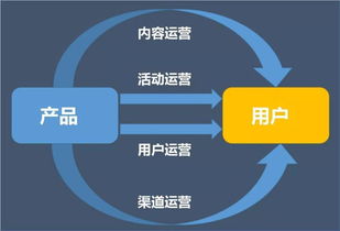 天猫旗舰店的日常运营工作