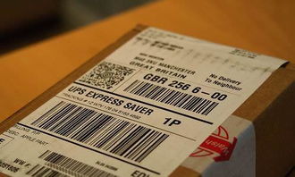 四、 关税预付与支付问题