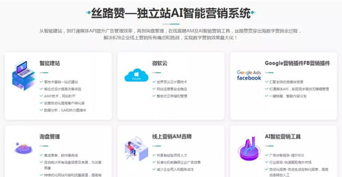 综合运用策略， 实现独立站持续增长