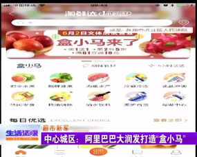 2. 品牌建设和营销策略