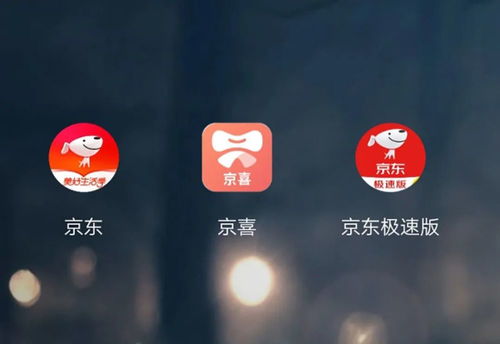 四、京东极速版推广的风险与注意事项