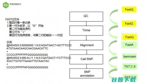 集货模式与备货模式的区别