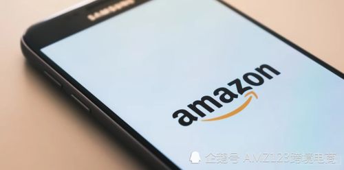 支付方式与税收制度