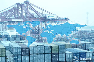 一、 国际集装箱运输的基本概念