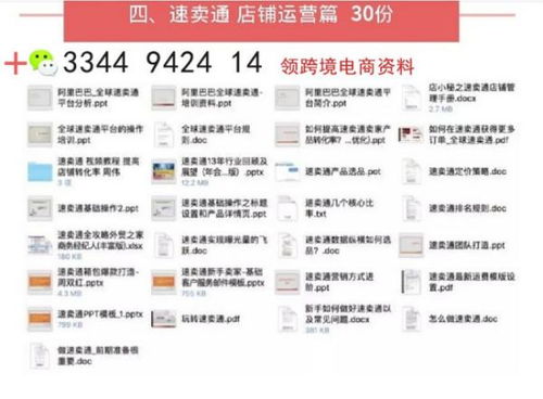 一、 深入了解俄罗斯市场