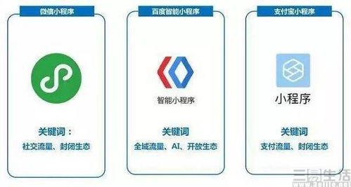 三、 （三）移动端应用程序的支持