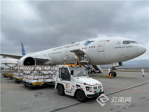 进口GST费用详解