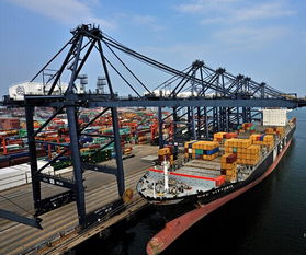 二、俄罗斯海关对跨境电商货物特殊要求