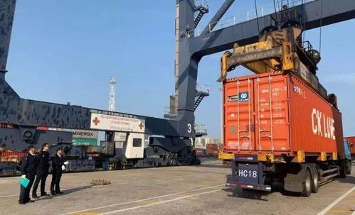 五、直接退运操作流程