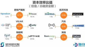 波罗蜜：主打视频互动直播的自营跨境电商平台