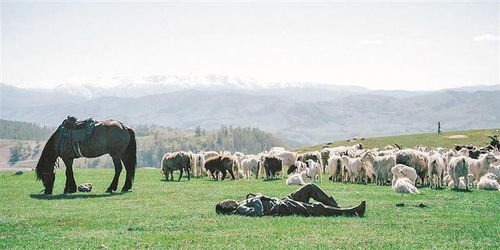 一、电视剧《阿勒泰》热播，带火新疆阿勒泰旅游