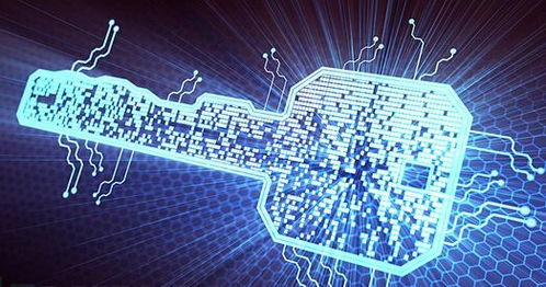 核心风险：数据平安与利益保障