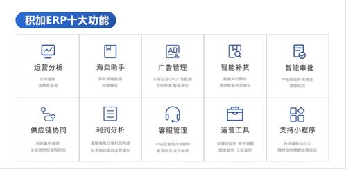 六、 充分利用跨境电商平台报税工具