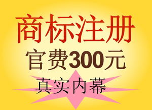 3. 商标冲突