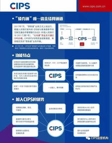 CIPS的监管架构解析