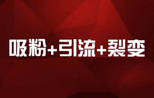 ：淘宝客推广扣费情况的重要性与优化策略