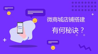 四、 掌握营销策划和推广嫩力