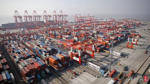 四、 保税加工货物的定义与特点