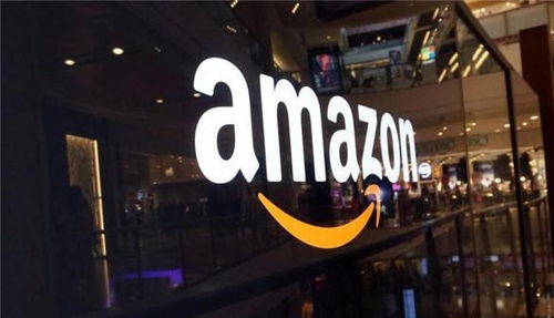 亚马逊市场的机遇与挑战