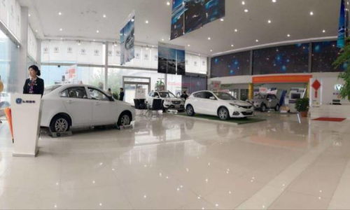 一、 Ozon本土店的汽车配件销售潜力分析