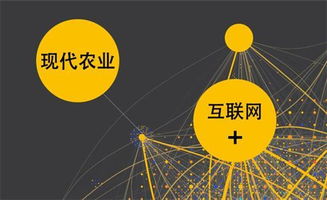 中东电商市场的蓬勃发展