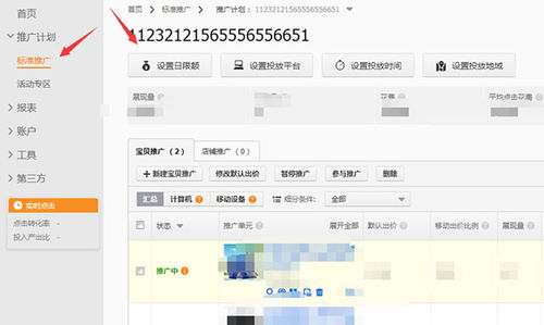 四、 设定投放策略与预算
