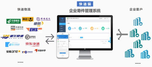 批量操作完成后 抽查物流详情页