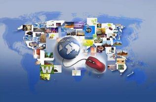 市场趋势与消费者偏好