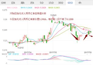 实时汇率波动与投资策略
