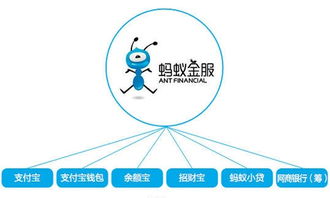 二、如何选择投资？