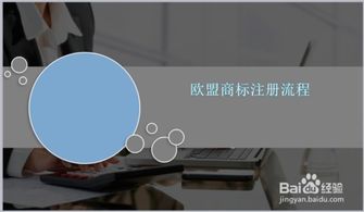 6. 公告与异议期