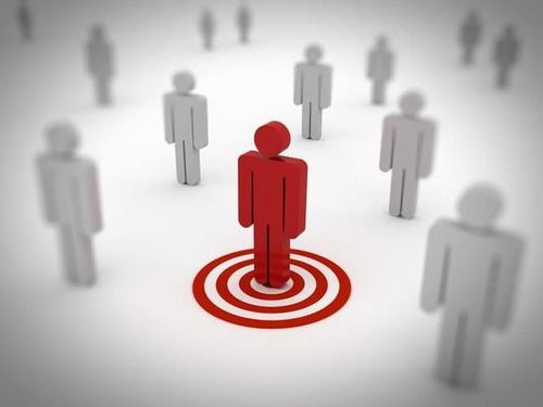 2. 利用社交媒体平台