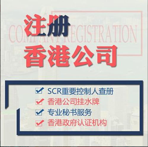 1. 明确公司类型和业务范围