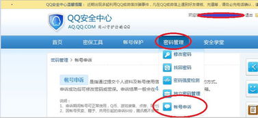一、 淘宝申诉不成功的原因及应对策略
